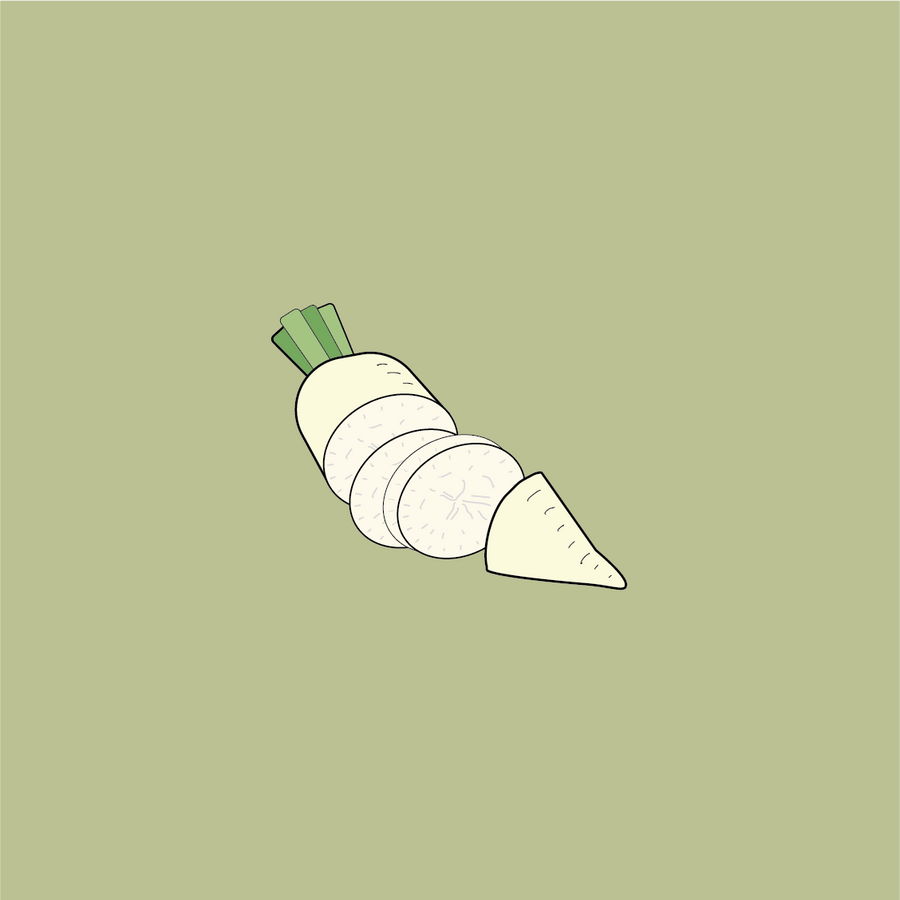 Daikon, the Japanese white radish